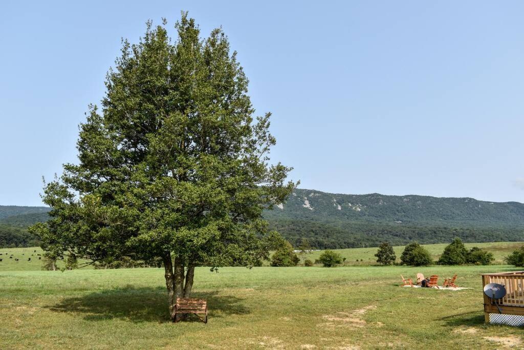 Вилла Holly Tree Retreat Located In Beautiful Luray, Va. Экстерьер фото