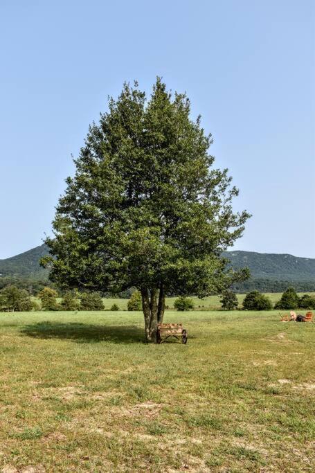 Вилла Holly Tree Retreat Located In Beautiful Luray, Va. Экстерьер фото
