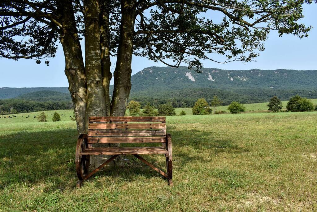 Вилла Holly Tree Retreat Located In Beautiful Luray, Va. Экстерьер фото