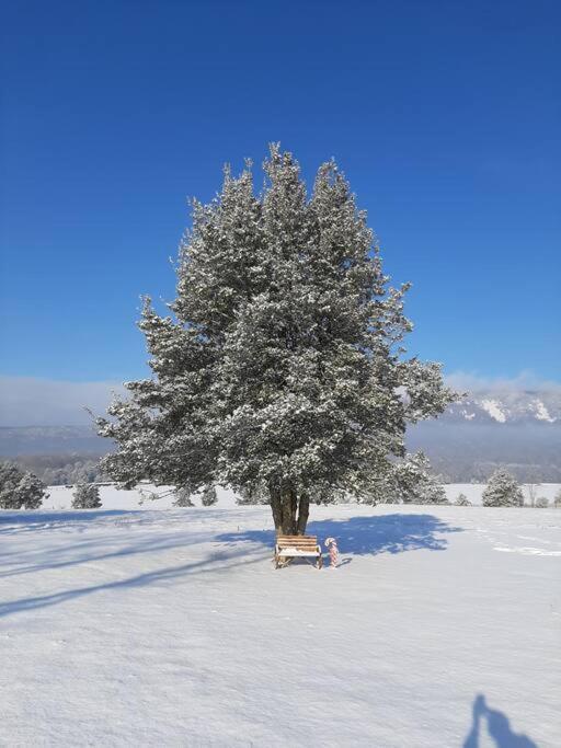 Вилла Holly Tree Retreat Located In Beautiful Luray, Va. Экстерьер фото