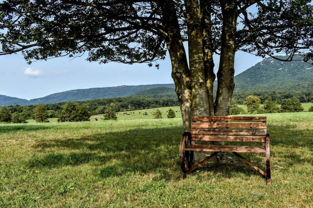 Вилла Holly Tree Retreat Located In Beautiful Luray, Va. Экстерьер фото