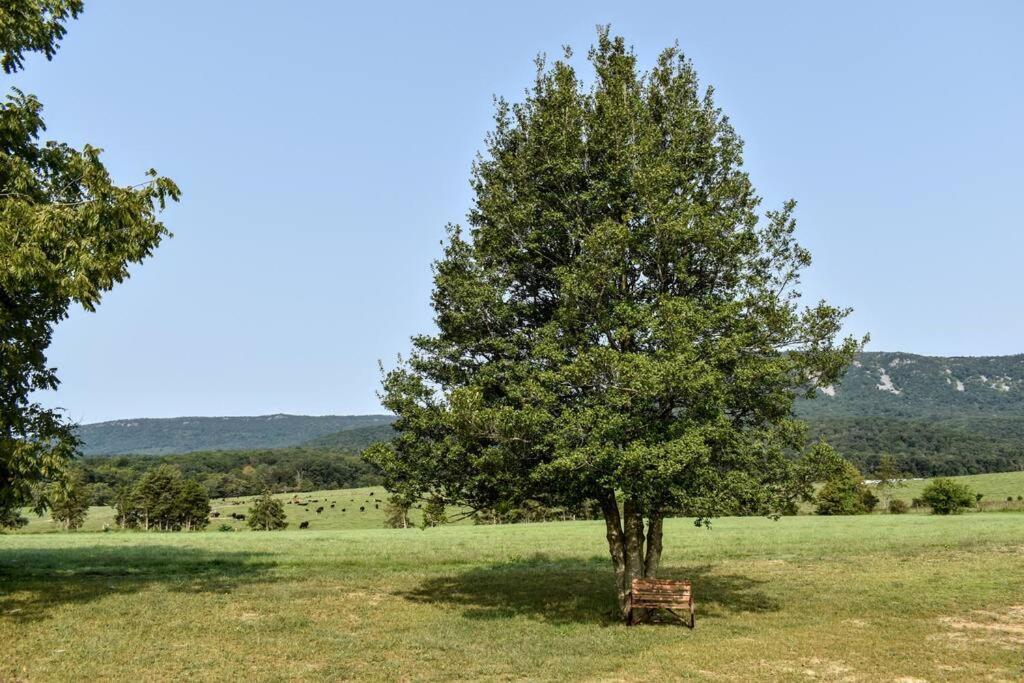 Вилла Holly Tree Retreat Located In Beautiful Luray, Va. Экстерьер фото